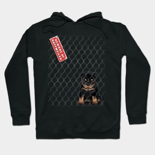 Beware of Rottweiler Hoodie